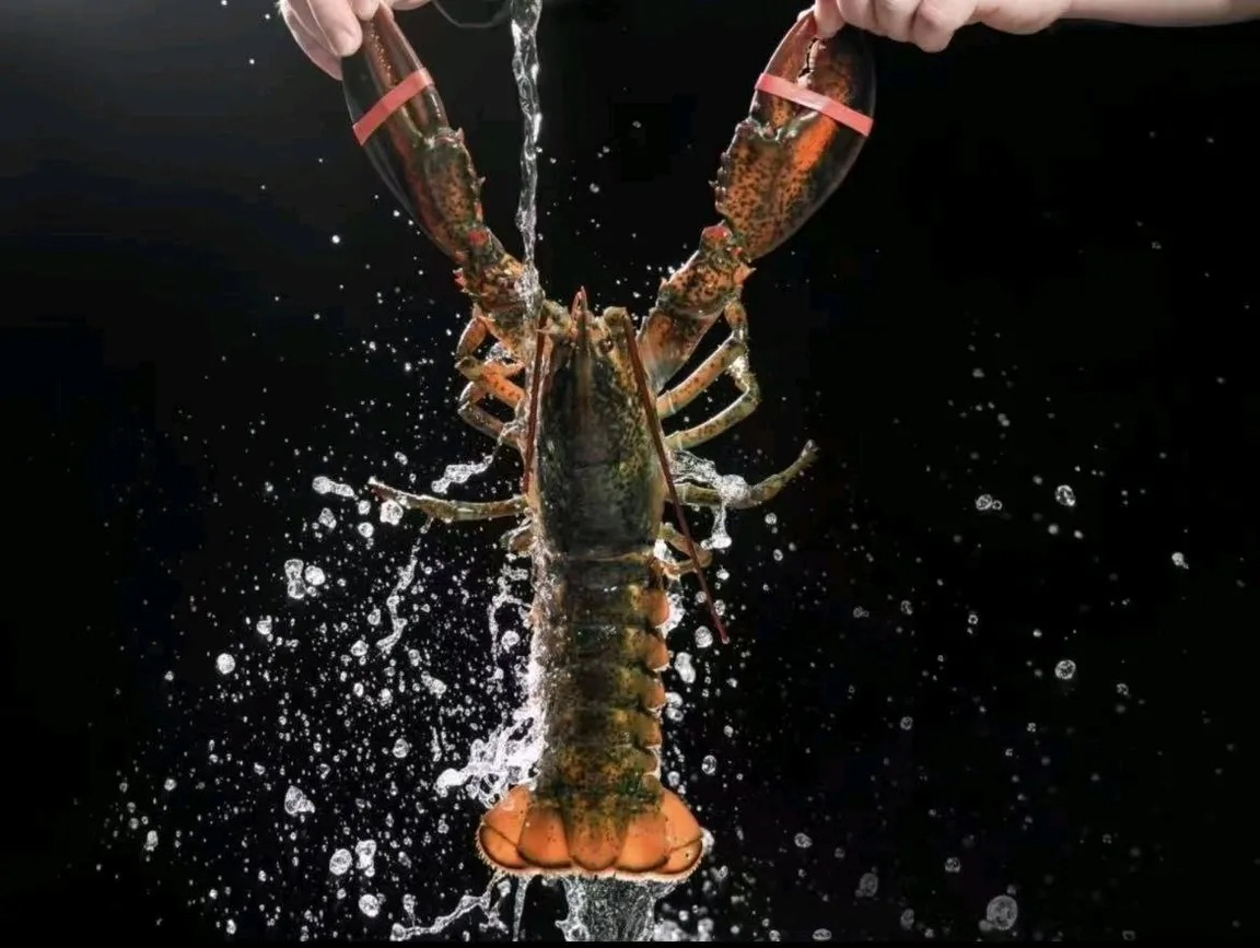 韶关海鲜